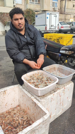 عکس بازار ماهی خراسان رضوی