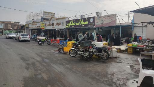 عکس بازار ماهی خراسان رضوی