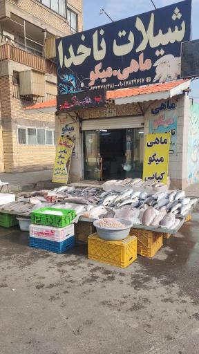 عکس بازار ماهی خراسان رضوی