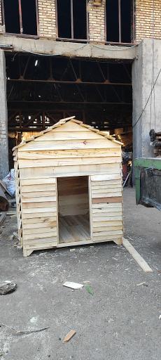 عکس چوب بری توس