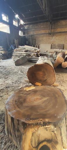 عکس چوب بری توس