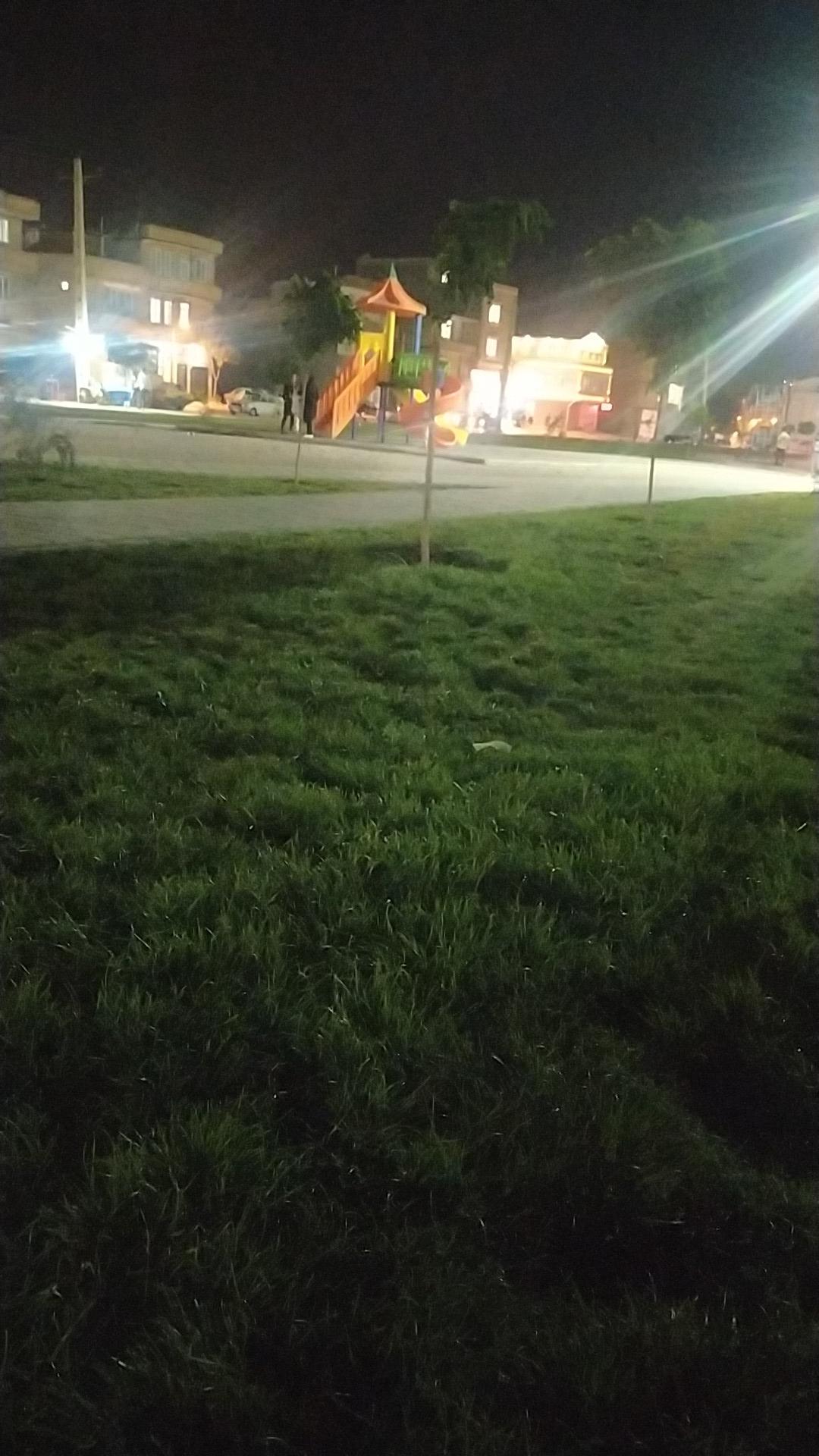 عکس باغ گردو