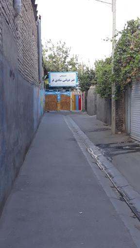 عکس دبستان غیر دولتی شادی فر