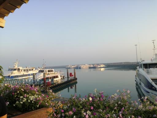 عکس بندر مسافری شهید ذاکری