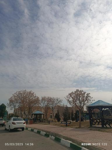 عکس بوستان تبائین