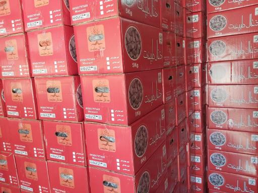 عکس ذغال طبیعت 