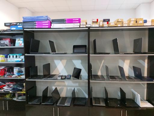 عکس بازرگانی تیک سبز 