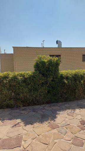 سرویس بهداشتی