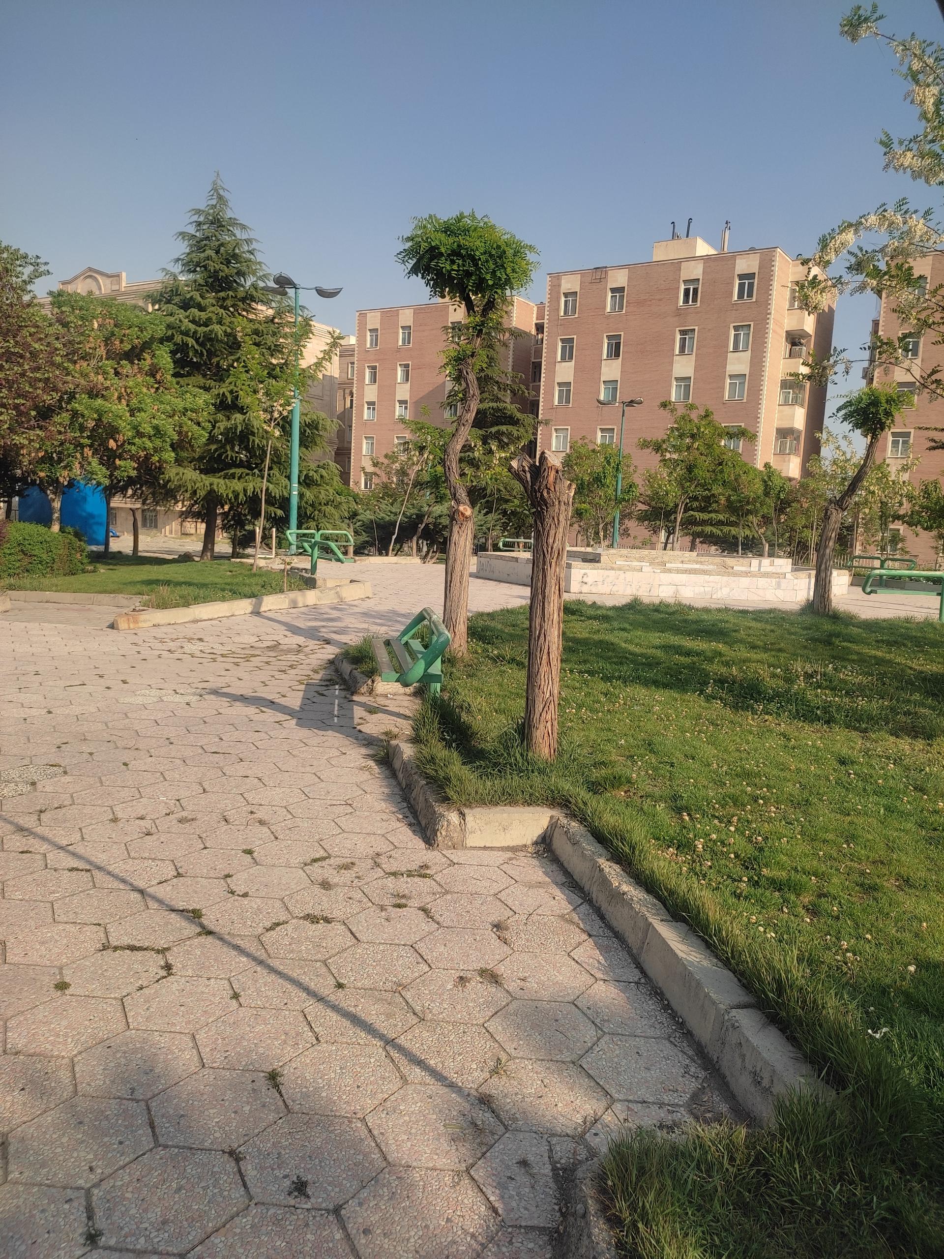 عکس فضای سبز صدف