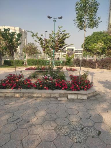 عکس فضای سبز صدف