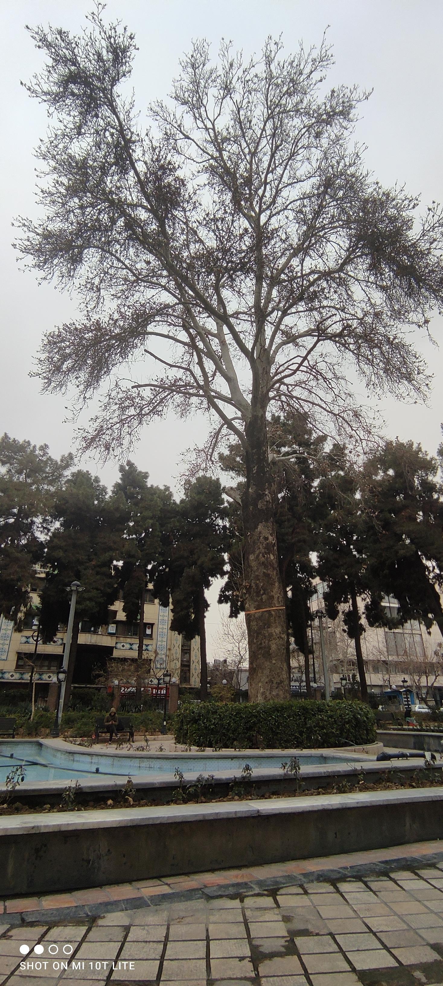 عکس بوستان شهریار عدل