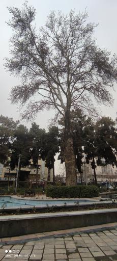 عکس بوستان شهریار عدل