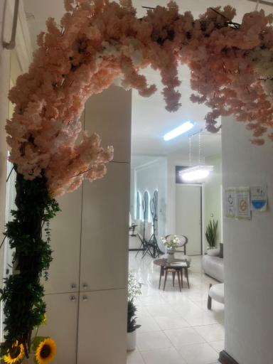 عکس سالن زیبایی آنیل 