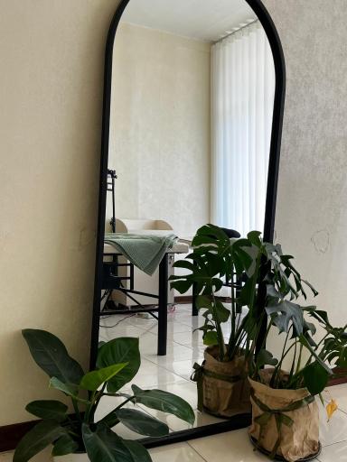 عکس سالن زیبایی آنیل 
