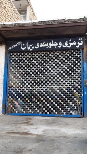ترمزی و جلوبندی پیمان