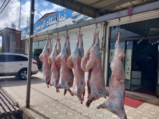 عکس قصابی و کبابی بابک 