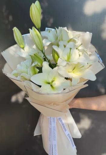 عکس گل فلورانس