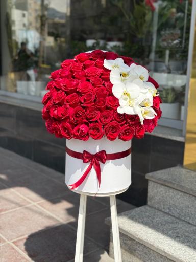 عکس گل فلورانس