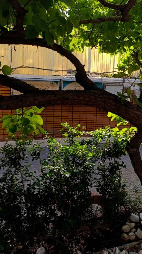 عکس موسسه آموزش عالی روان‌شناسی حرفه‌ای مدت