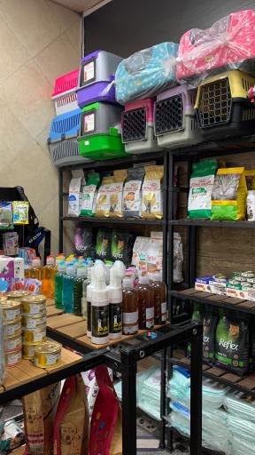 عکس پت شاپ شیتزو