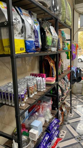 عکس پت شاپ شیتزو