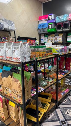 عکس پت شاپ شیتزو