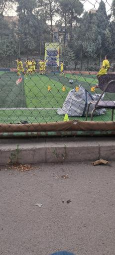 عکس زمین‌ چمن‌ مصنوعی