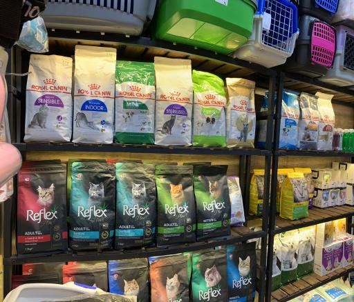 عکس پت شاپ شیتزو