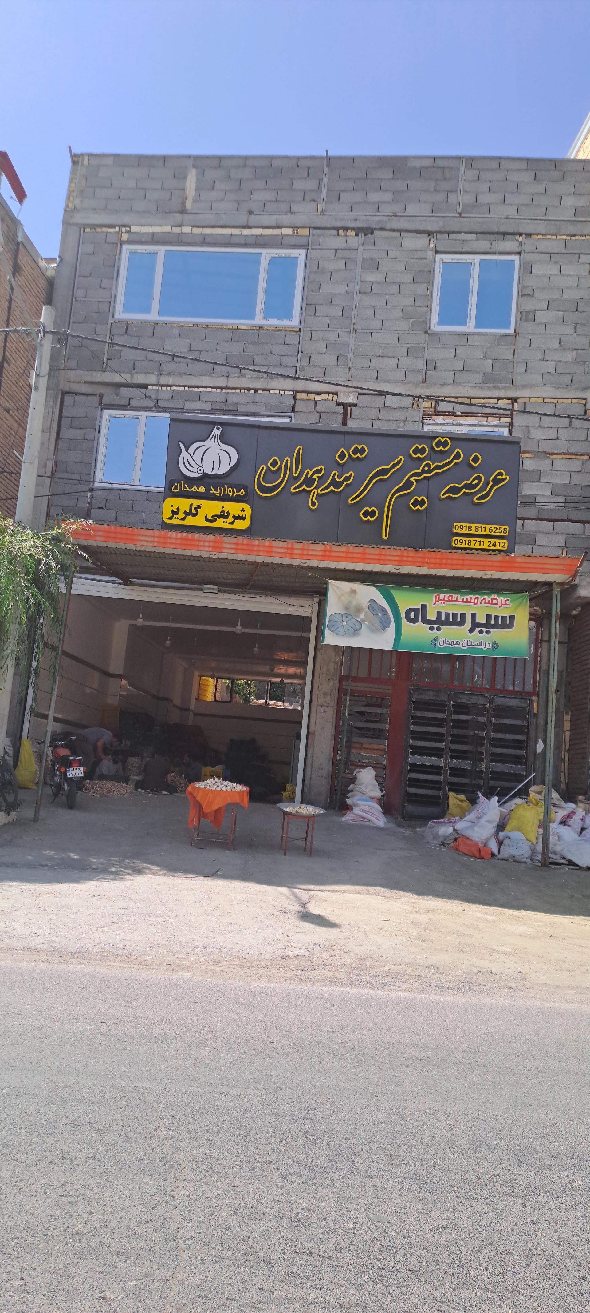 عکس عرضه سیر همدان ،شریفی