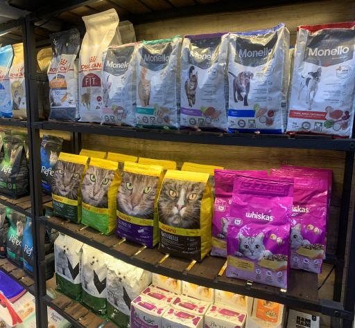 عکس پت شاپ شیتزو