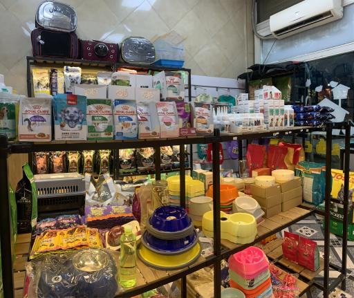 عکس پت شاپ شیتزو