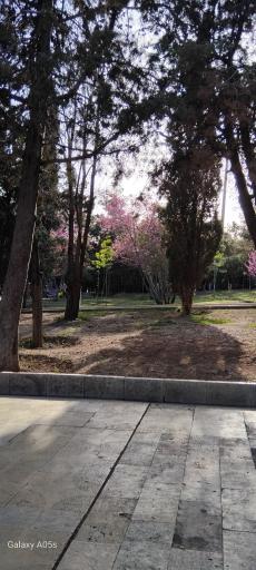 عکس پارک پرواز