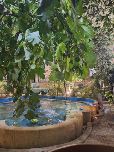 عکس عمارت شیرخورشیدی 