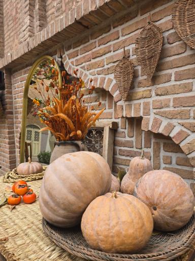 عکس عمارت شیرخورشیدی 