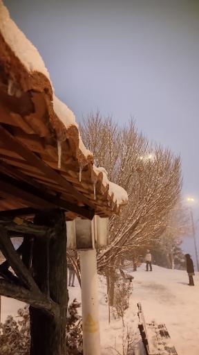 عکس بوستان پرواز