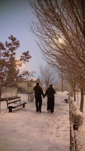 عکس بوستان پرواز