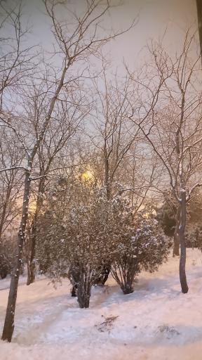 عکس بوستان پرواز