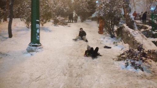 عکس بوستان پرواز