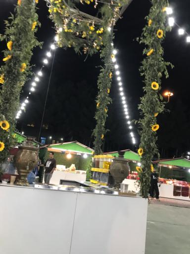 عکس بوستان پرواز