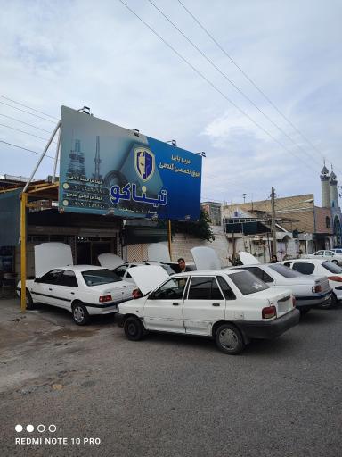 عکس عیب یابی فوق تخصصی گندمی