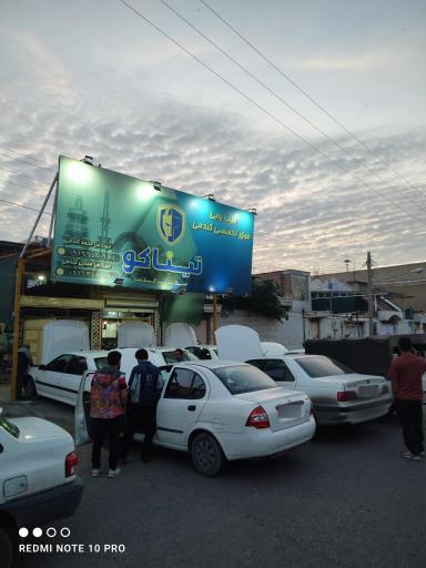 عکس عیب یابی فوق تخصصی گندمی