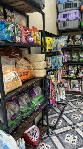 عکس پت شاپ شیتزو