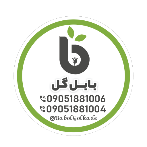 عکس بابل گل