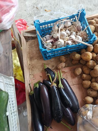 عکس میوه فروشی دنگیز 