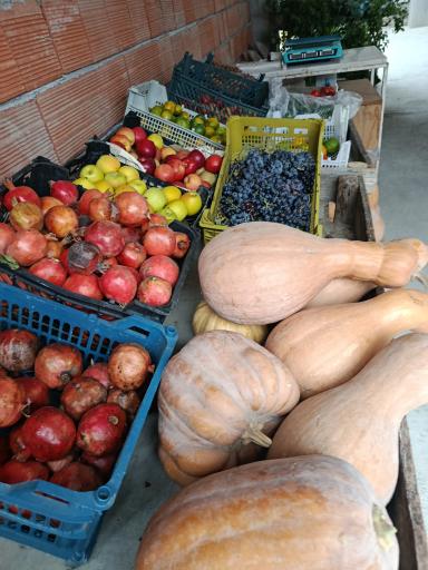 عکس میوه فروشی دنگیز 