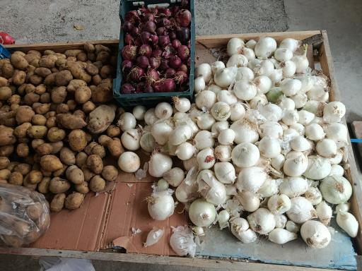 عکس میوه فروشی دنگیز 