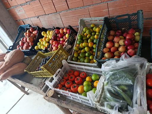 عکس میوه فروشی دنگیز 