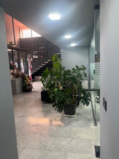 عکس زیباگرافیک