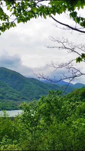 عکس سد میجران