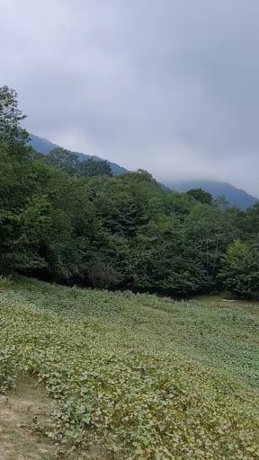 عکس سد میجران